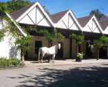 Stables