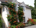 Stablecroft